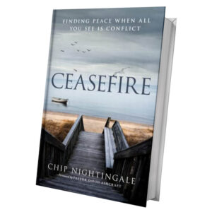 Caesefire book